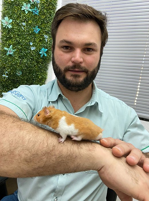cão atendido na clinvet