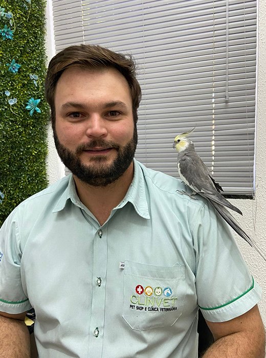 atendimento veterinário para calopsita