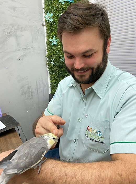 consulta veterinária para calopsita