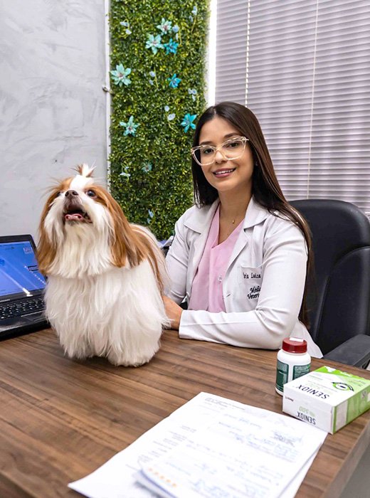 atendimento veterinário